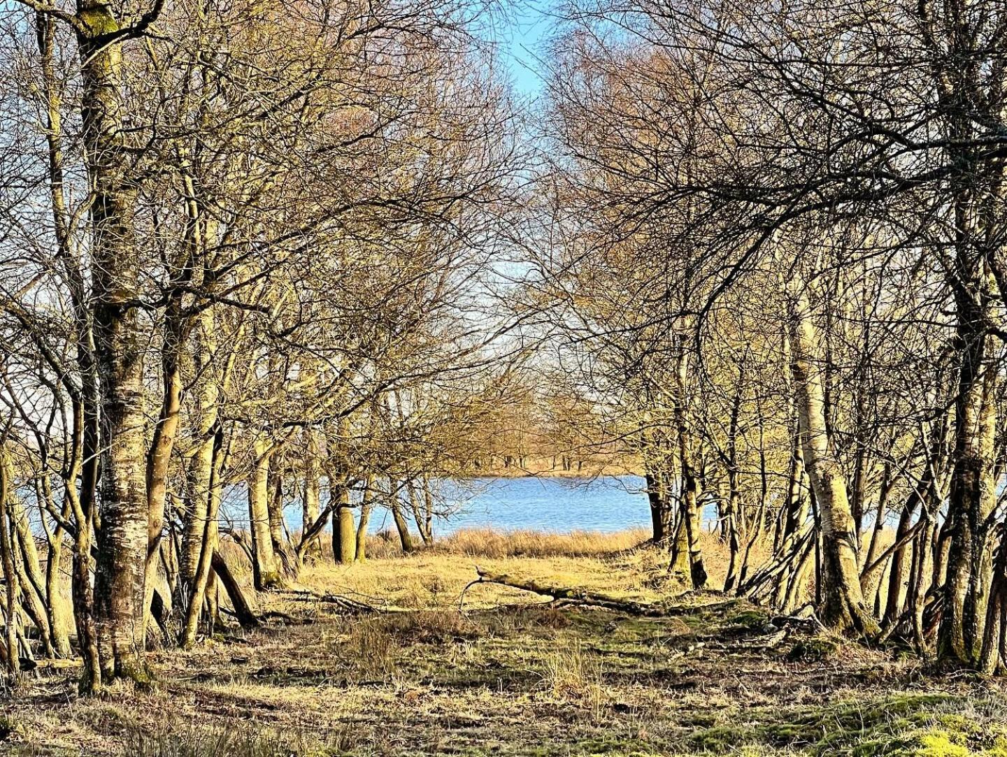 Natuurhuisje Meppen Eksteriør billede