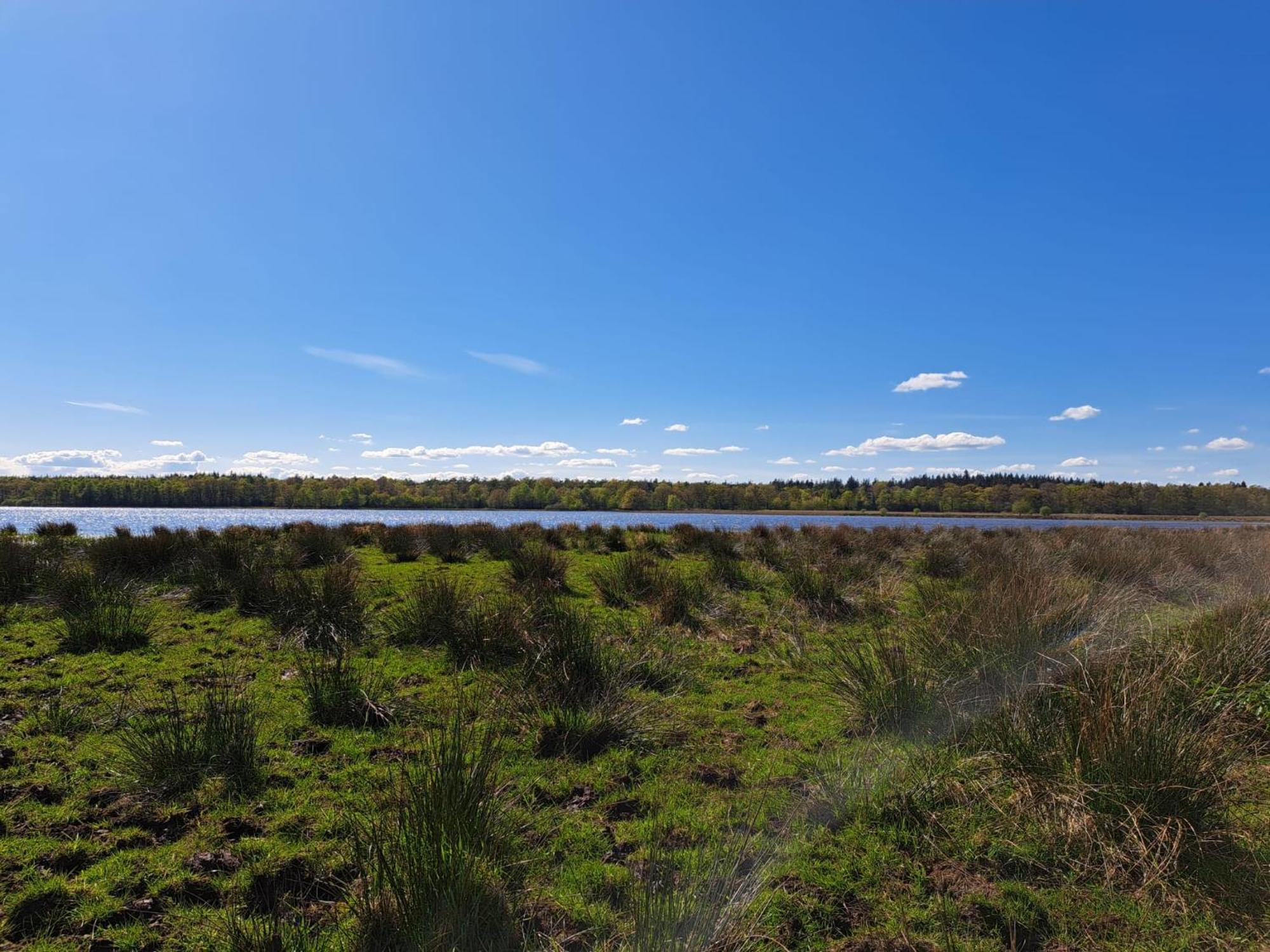 Natuurhuisje Meppen Eksteriør billede